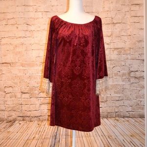 Beautiful velvety dress with embellished sleeves.